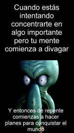 El título no se pudi concentrar y se fue ,prros.jpg