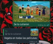 vegeta cuando no enfrenta a 1n random xdxdxd.jpg