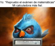 haciendo mimms x calculadora ,ser como prros.jpg
