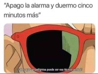 apago la alarma y... x v 1.1.4 prros.jpg