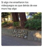 algo detras del muro ,prros.jpg