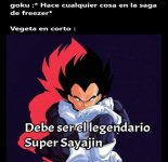 vegeta en corto completo .jpg