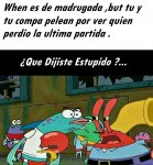 que dijiste estupido.jpeg