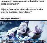 lleguen x v 1.1.4.jpeg