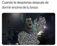 mimm d brazo dormido ,prros.jpg