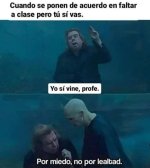 por miedo prros.jpg