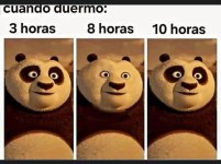 cuando duero... prros .jpg