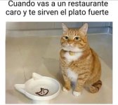 er plato fuerte xdddd.jpg