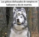 los goticos disfrazados...ser como prros .jpg