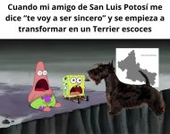 t voy a ser sincero ,prros.jpg