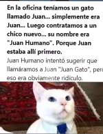 juan ,eso es obviamente ridiculo prros.jpg