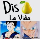 Diperen sus vidas ,prros.jpg