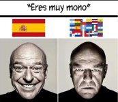 logic dont exist ,prros.jpg