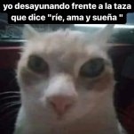 desayuno,ser como prros.jpg