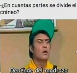 depende del madrazo prros.jpg