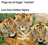 Trigo existe y los 3 tristes tigres completo.jpeg