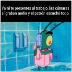 ya ni t presentes... prros.jpg