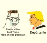 er titulo tb fue deportado ,prros.jpg