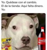 ae x quedese c el cambio ,prros.jpg