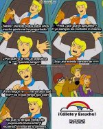 FB_IMG_1731194000956.jpg