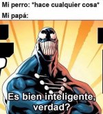 bien inteligente ,prros.jpg