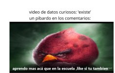 pibardo en coments ,ser como prros.jpg