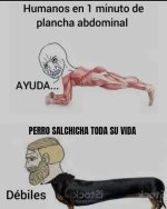 A v 7.7.9 ,perro salchica xdxdxd.jpg