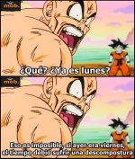 lunes...imposible prros.jpg