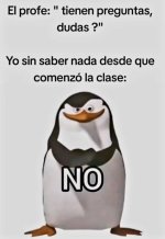 no hay dudas ,prros.jpg