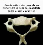 Tu vértebra C6 está siempre contenta ,prros.jpg