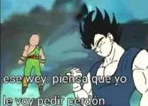 Ese we piensa que le pediré perdón atte Vegeta ,prros.jpg