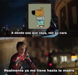 ya m tiene hasta la mdre ,prros.jpg