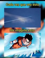 siempre eran los guerreros z ,prros.jpg
