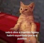 sabrá diox si podría haber ligado más si no publicara shitpost en mi cuenta publica..prros.jpg