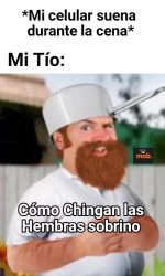 Webi wabo...prros.jpg