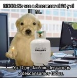 Vacaiones de navidad. ser como prros.jpg
