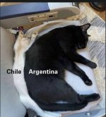 Chile x Nargentinos ,ser como x v 1.2.4 prros .jpg