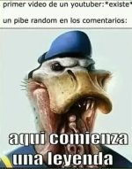 Ola prros.jpg