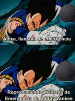Alexa ,ser como prros.jpg