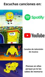 soyel2do prros.jpg