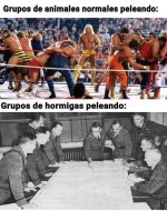 Tercer batallón de obreras al ataque...prros.jpg
