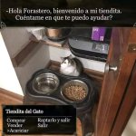 Bienvenido a mi tiendita humano.jpg