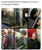 ir en transporte publico x jajas prros.jpg