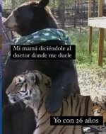 jaja´s x visita al doctor ,ser como prros.jpg