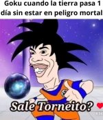 sale torneito xdxdxd prros.jpg
