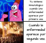 sistema inmune en problemas ,ser como prros.jpg