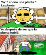 que...x v 1.1.6.jpg