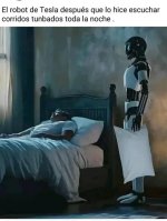 er robot es 1n robot ,no hay necesidad d torturarlo d esa manera...prros.jpg