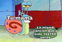 Ci pasa x cin animos a ofender prros.jpeg