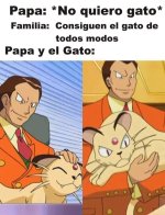 padres x gatos ,ser como prros.jpg